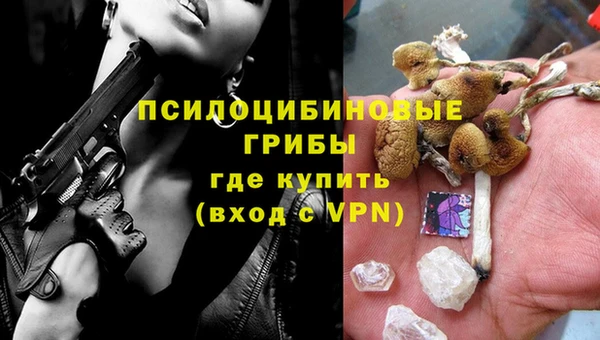 СК Алексеевка