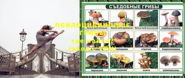 СК Алексеевка
