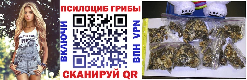 сколько стоит  KRAKEN зеркало  Псилоцибиновые грибы GOLDEN TEACHER  darknet состав  Изобильный 