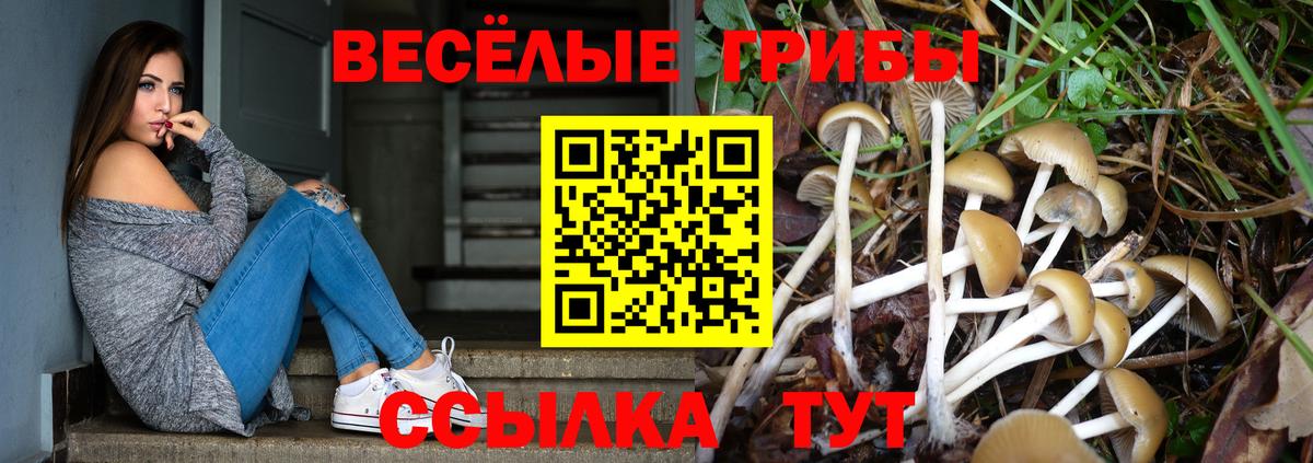 Псилоцибиновые грибы Psilocybe Изобильный